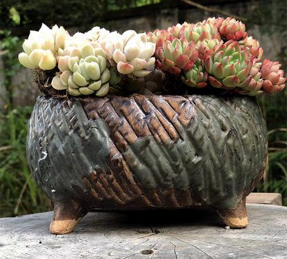 Large Succulent Clay Pot Retro