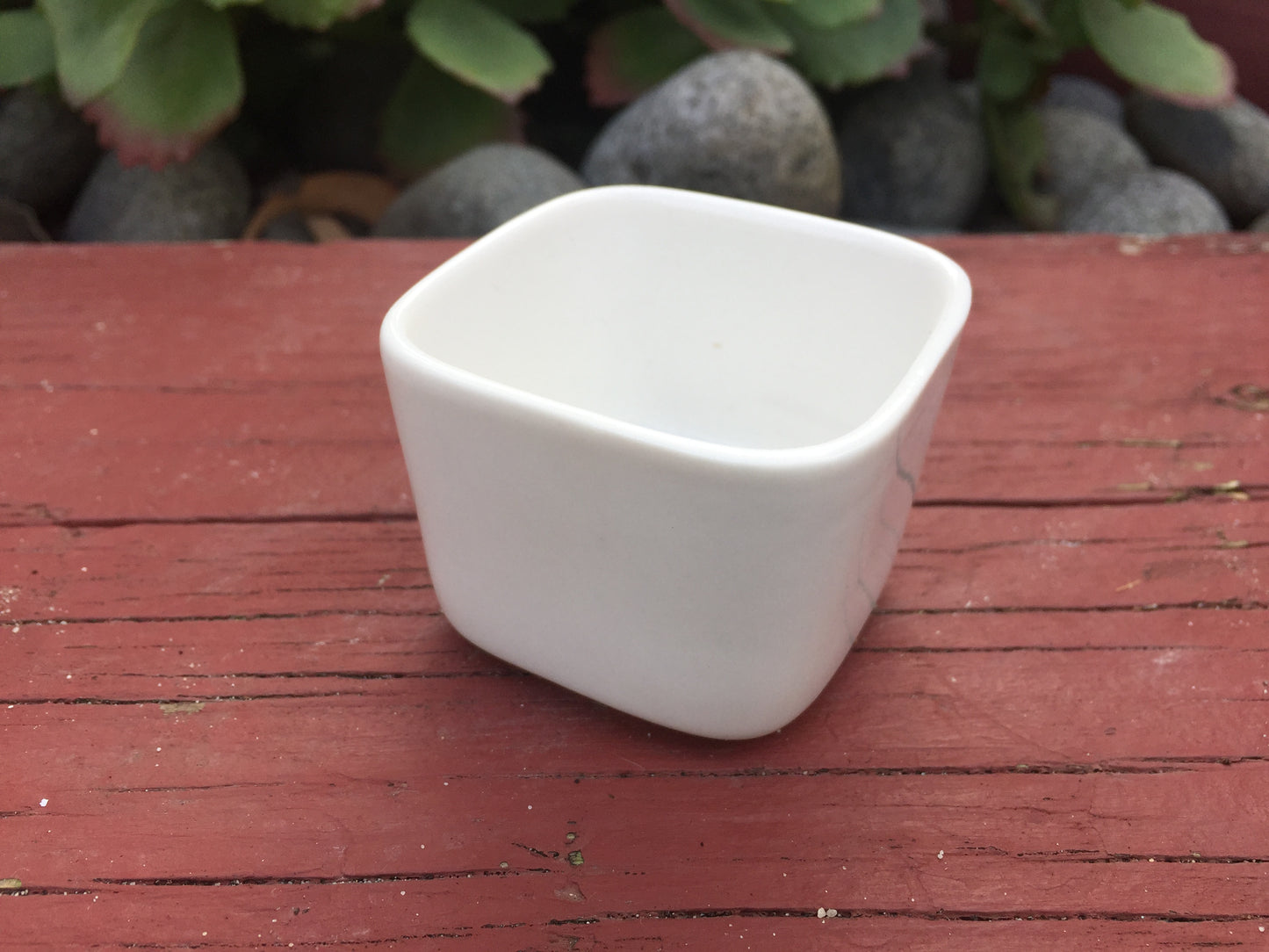 3x White Ceramic pots succulent cactus small plant planter mini size