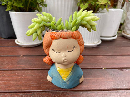 Succulent Donkey Tails in Cute Portrait Face Ceramic Pot Only Pick Up from Gymea 2227