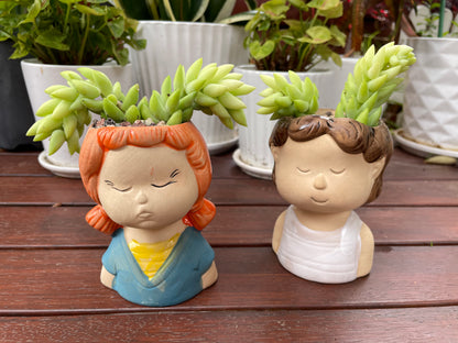 Succulent Donkey Tails in Cute Portrait Face Ceramic Pot Only Pick Up from Gymea 2227