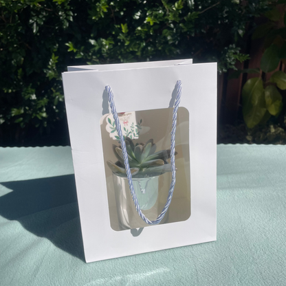 Elegant Succulent Wedding Favours | 7cm Silver Glass Vase & White Kraft Gift Bag | Custom Tags | Local Pickup