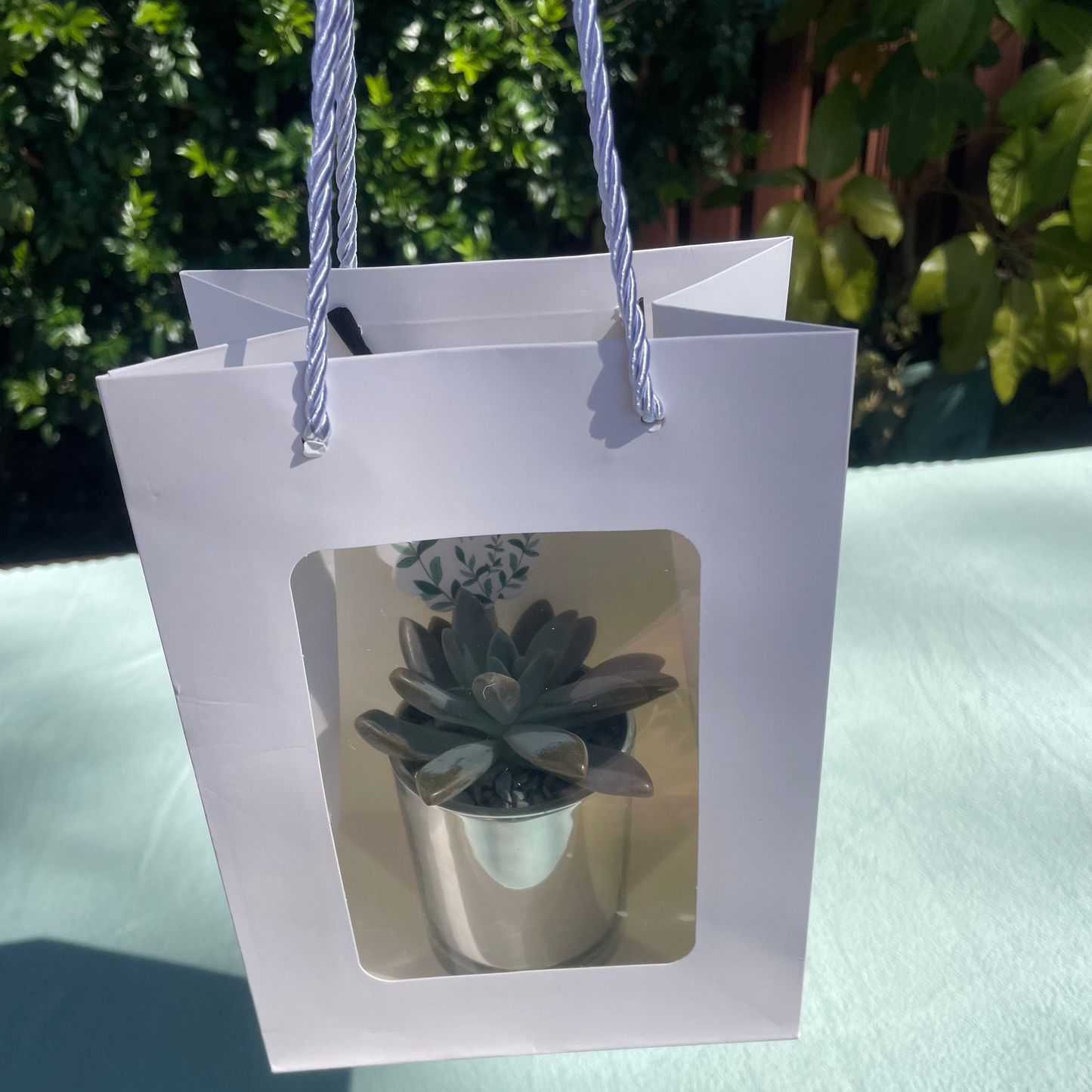 Elegant Succulent Wedding Favours | 7cm Silver Glass Vase & White Kraft Gift Bag | Custom Tags | Local Pickup