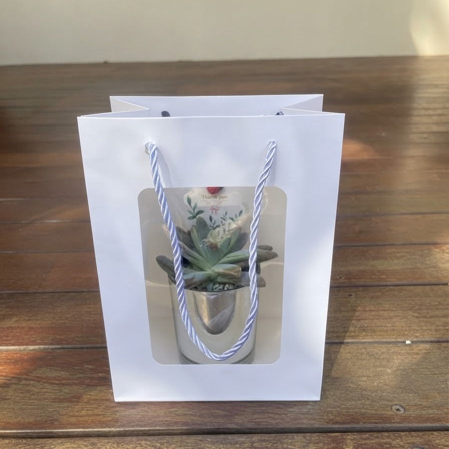 Elegant Succulent Wedding Favours | 7cm Silver Glass Vase & White Kraft Gift Bag | Custom Tags | Local Pickup