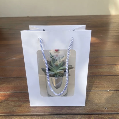 Elegant Succulent Wedding Favours | 7cm Silver Glass Vase & White Kraft Gift Bag | Custom Tags | Local Pickup