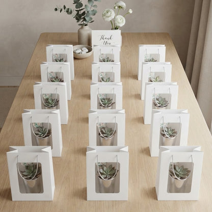 Elegant Succulent Wedding Favours | 7cm Silver Glass Vase & White Kraft Gift Bag | Custom Tags | Local Pickup