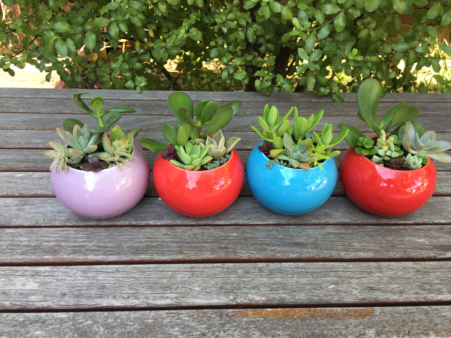 6cm Round Ceramic Glazed Pots - Set of 10 Vibrant Colors - Perfect for Succulents and Cacti with Draining