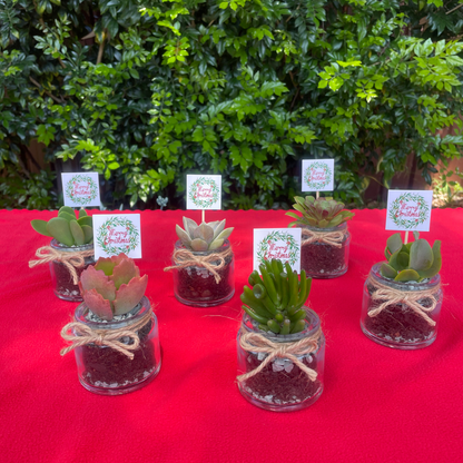 Christmas Succulent Favours in Glass Vases with Custom Tags Local Pickup
