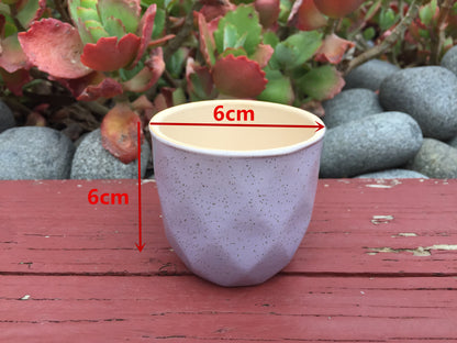 Live Succulent Favors | 6cm Mini Ceramic Plant Pots | Thank You Gift for Guests, Weddings, Birthdays, Corporate Events