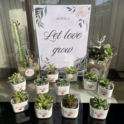 Succulent Wedding Favour White Pot