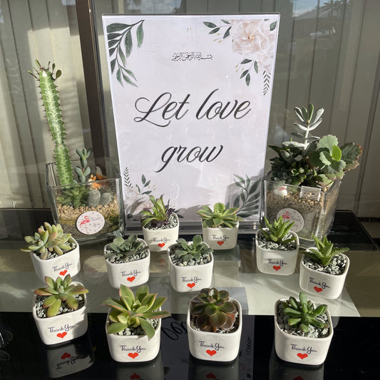 Succulent Wedding Favour White Pot