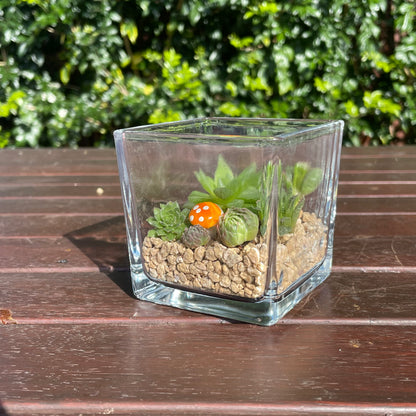 Indoor Succulent Arrangement in Glass Vase