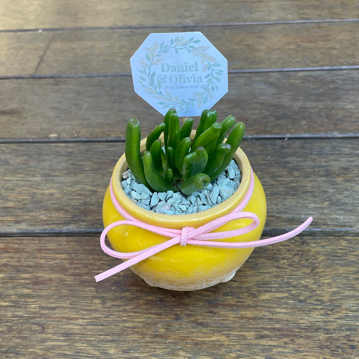 Succulent Wedding Favour
