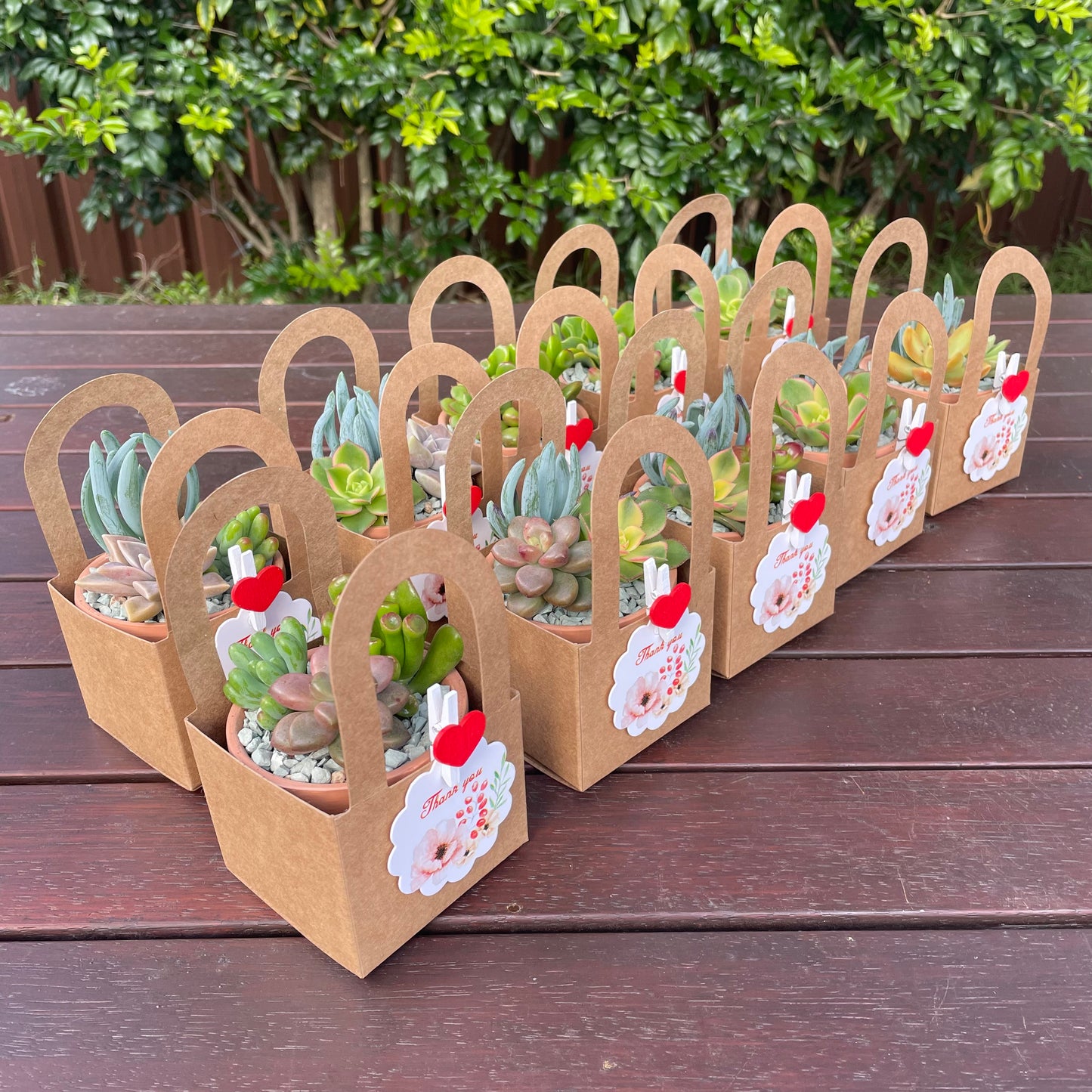 Succulent Wedding Favours, 7cm Terracotta Pot, Kraft Gift Box, Custom Tags, Local Pickup