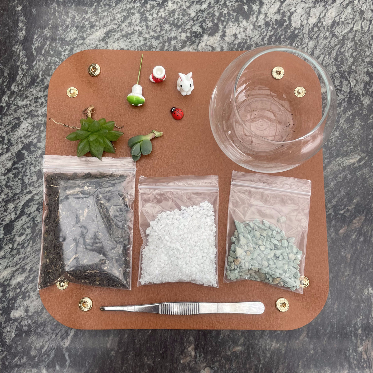 DIY Succulent Fairy Garden Terrarium Kit – Round Glass Bowl with 2 Live Succulents