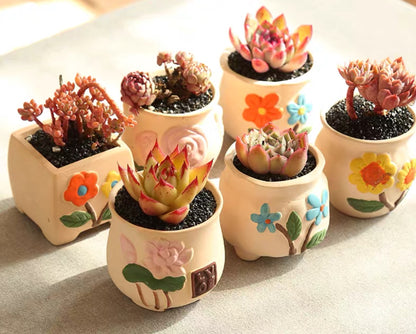 6x Succulent cactus ceramic pots planters small size floral pattern 6 different designs