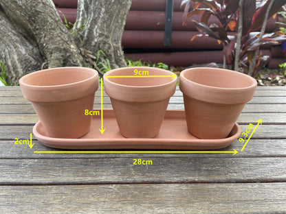 3x Terracotta Pots Set W Saucer Succulent Cactus Flower Planter Home Officer AUS