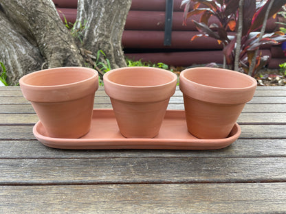 3x Terracotta Pots Set W Saucer Succulent Cactus Flower Planter Home Officer AUS