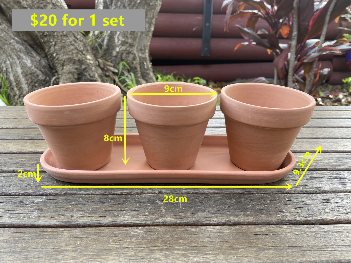 3x Terracotta Pots Set W Saucer Succulent Cactus Flower Planter Home Officer AUS