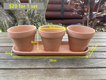 3x Terracotta Pots Set W Saucer Succulent Cactus Flower Planter Home Officer AUS