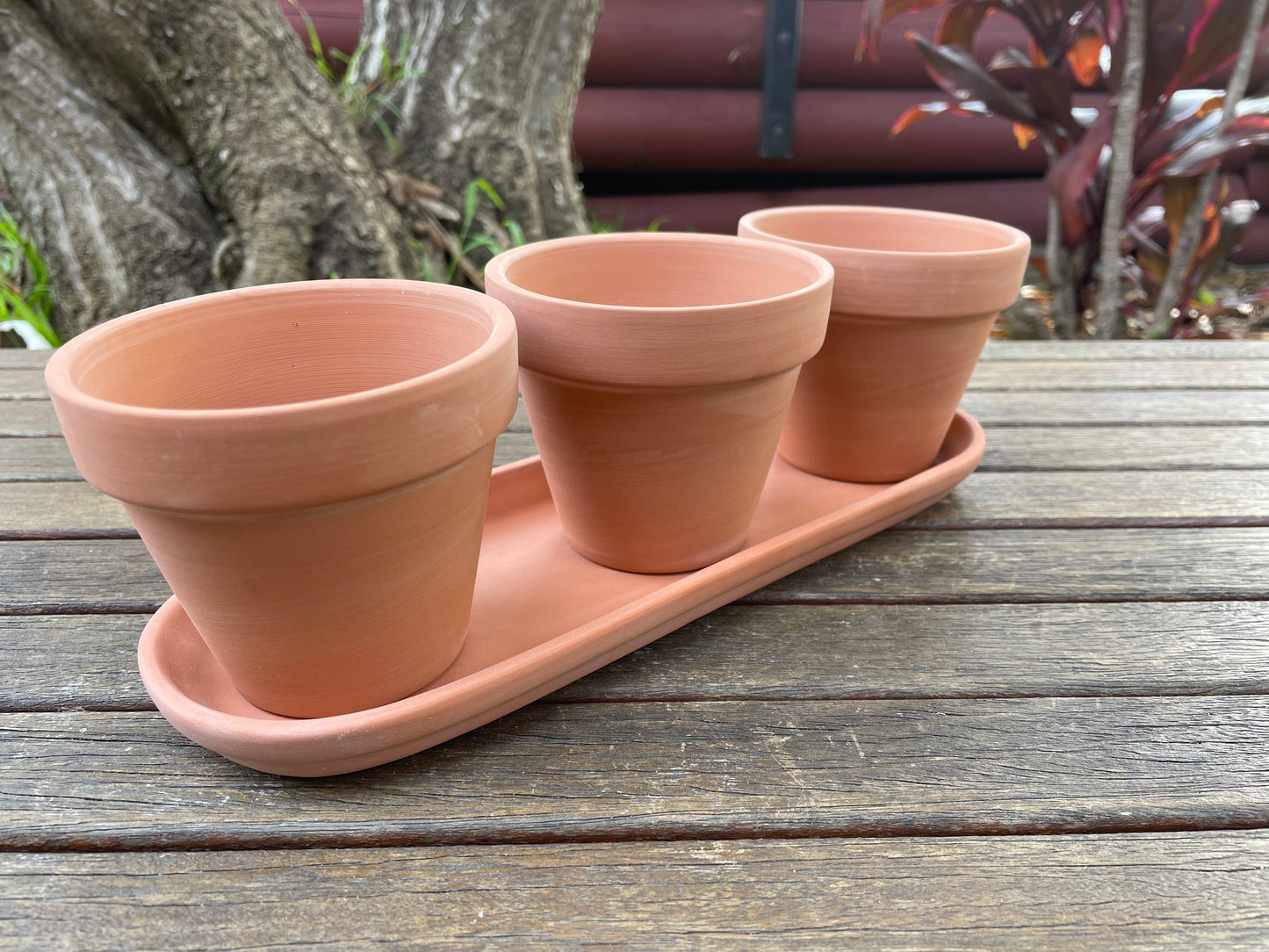 3x Terracotta Pots Set W Saucer Succulent Cactus Flower Planter Home Officer AUS