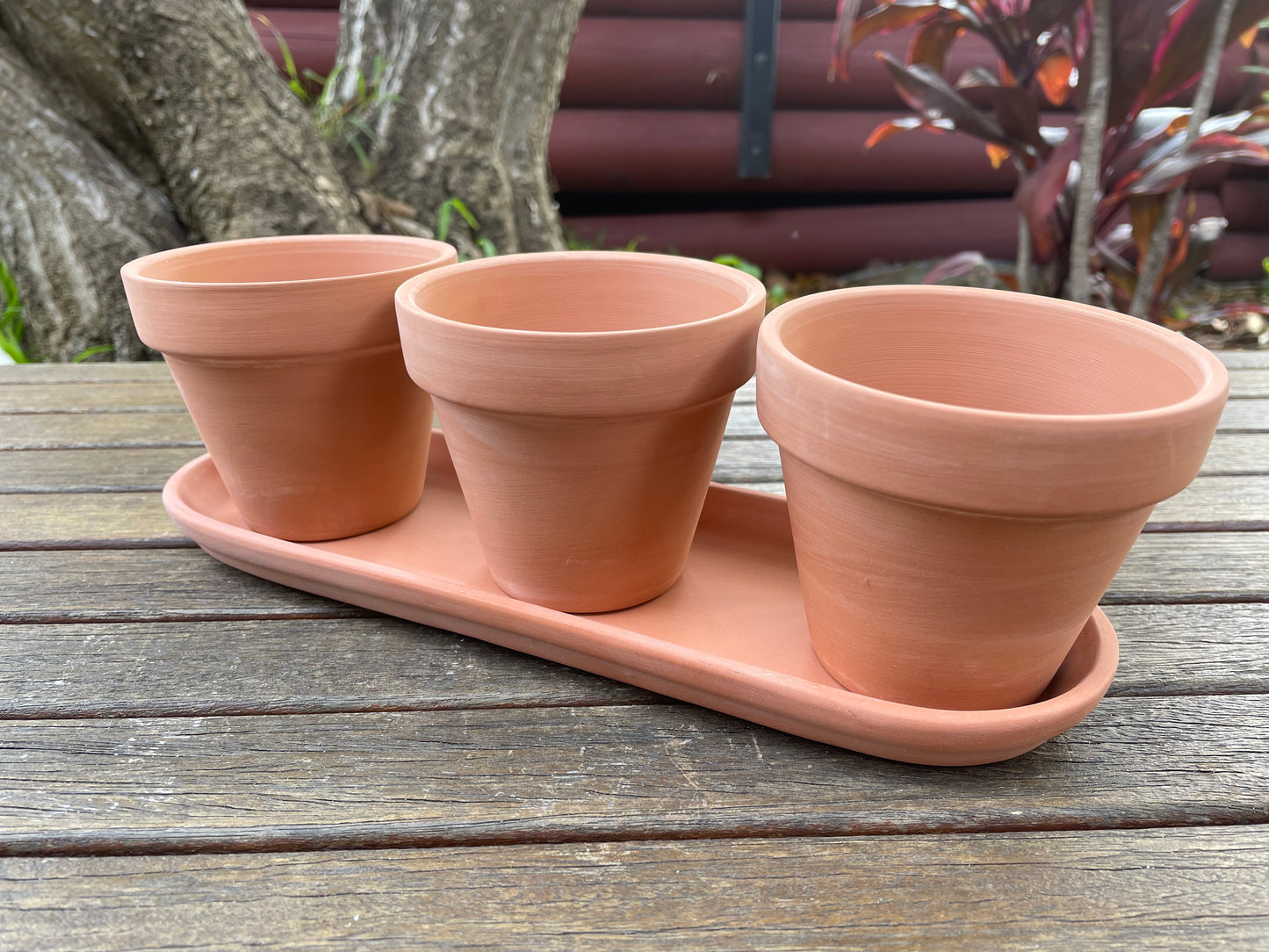 3x Terracotta Pots Set W Saucer Succulent Cactus Flower Planter Home Officer AUS