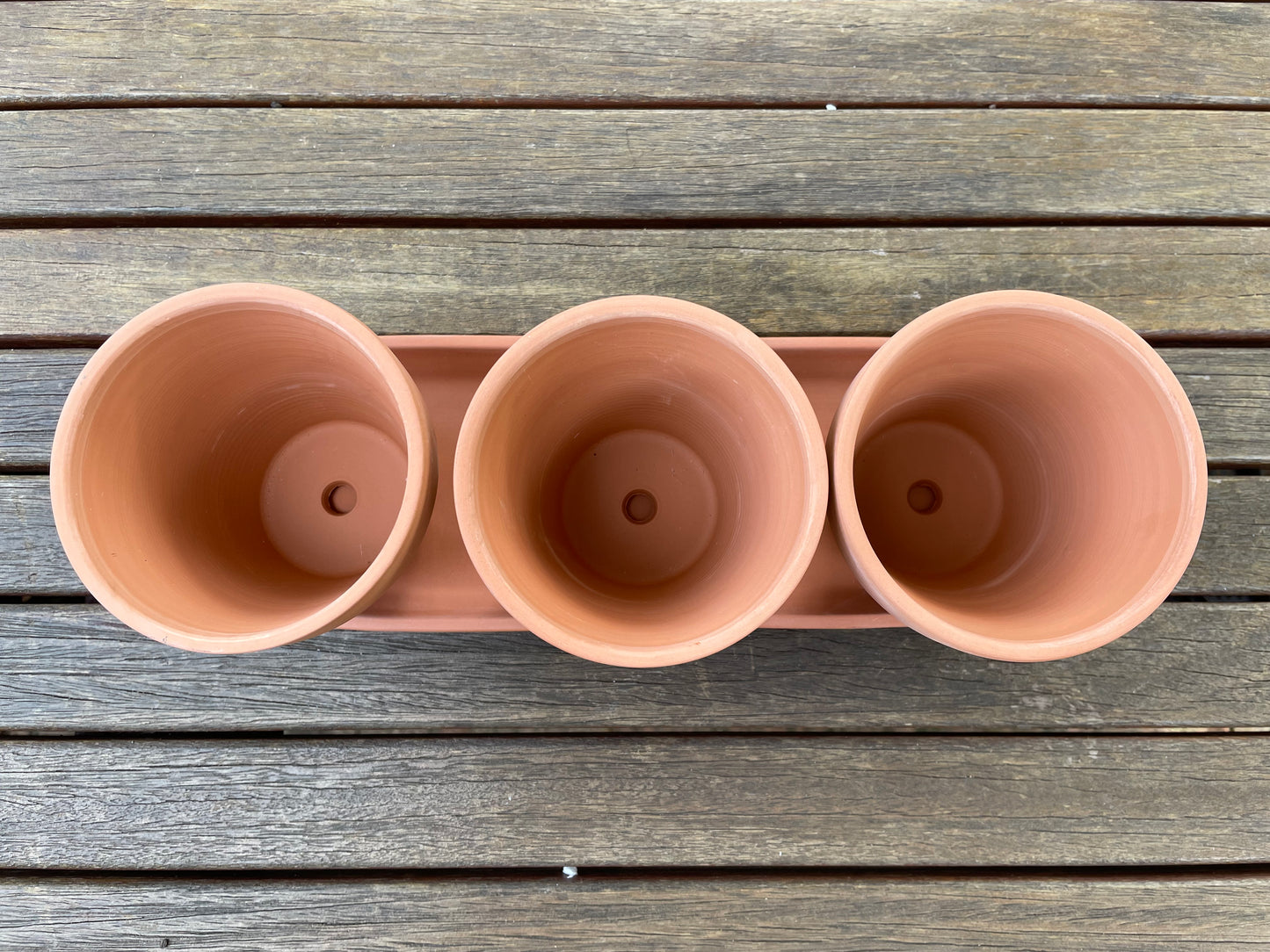 3x Terracotta Pots Set W Saucer Succulent Cactus Flower Planter Home Officer AUS