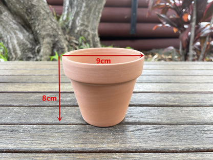 3x Terracotta Pots Set W Saucer Succulent Cactus Flower Planter Home Officer AUS