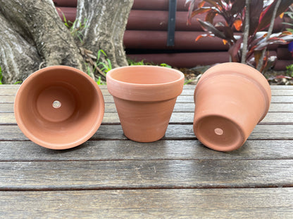 3x Terracotta Pots Set W Saucer Succulent Cactus Flower Planter Home Officer AUS