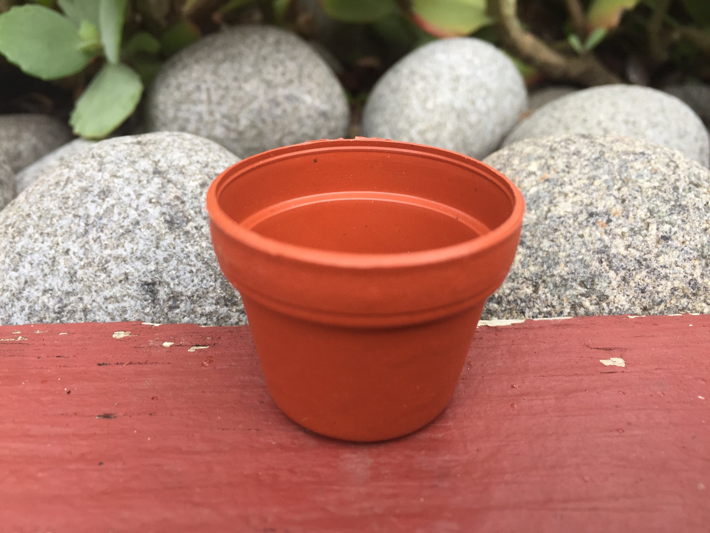 120x Mini Plastic Pot Planter Succulent Flower Nursery Seeding Thick 35mm Round