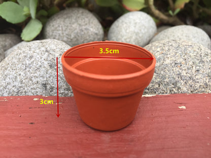 120x Mini Plastic Pot Planter Succulent Flower Nursery Seeding Thick 35mm Round