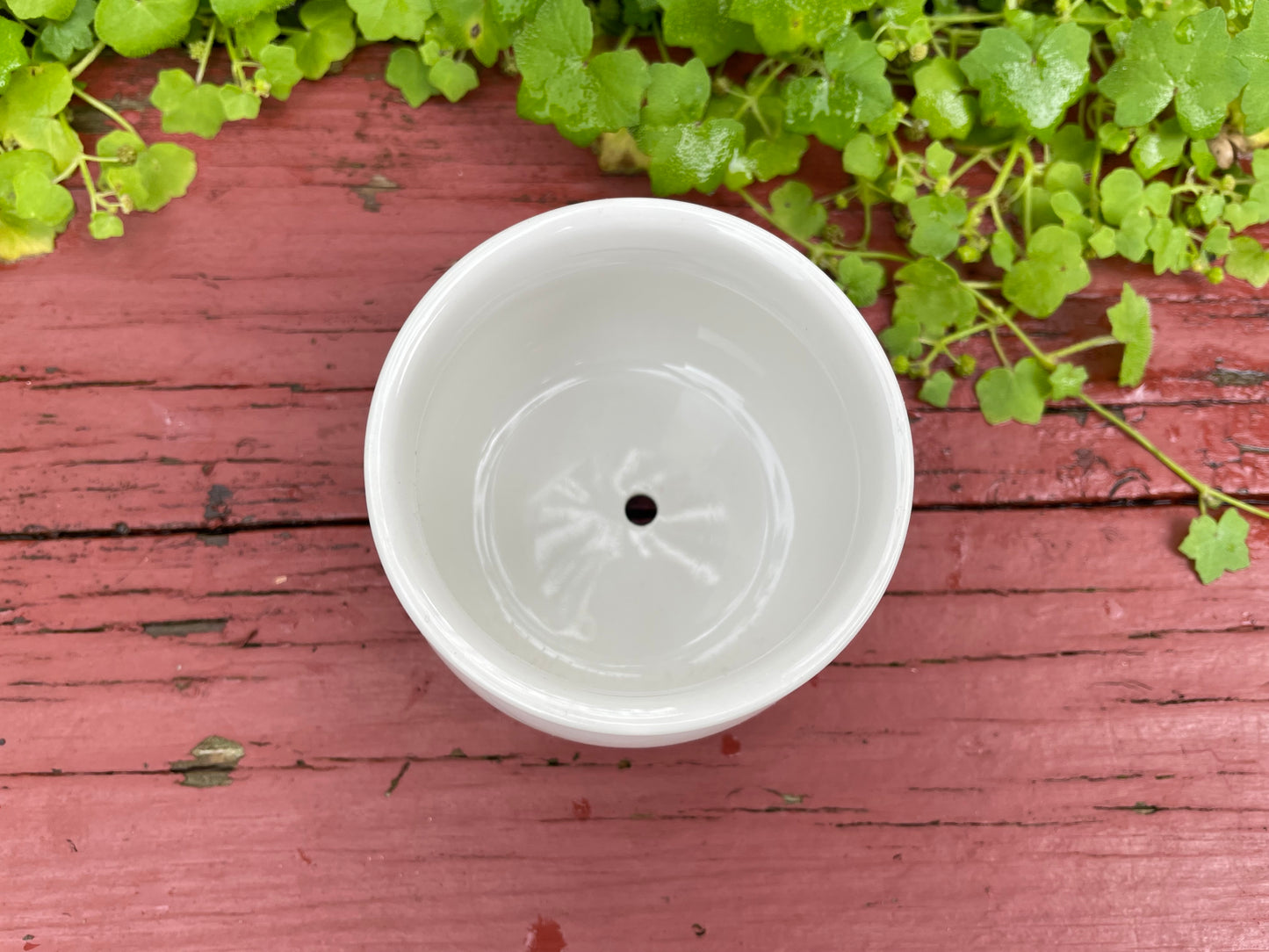 6x Round White Ceramic Glazed Pot Round Succulent Home Office Decor 6.5cm Diameter