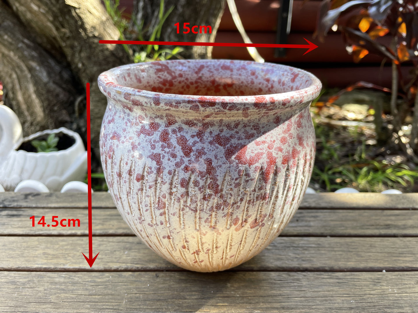 Ceramic Pot Succulent Cactus Planter Draining Hole at the Bottom Breathable Planter