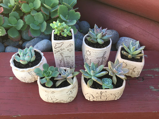 Small Cute Lovely Ceramic Pot