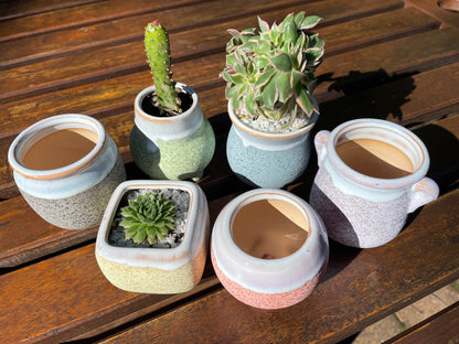 6 Mini Ceramic Succulent Pots with Feet