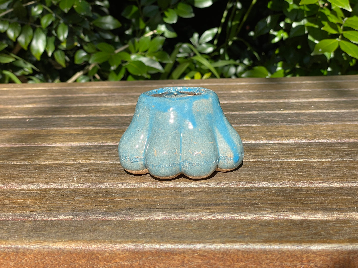 Ceramic pots claw shaped succulent planter