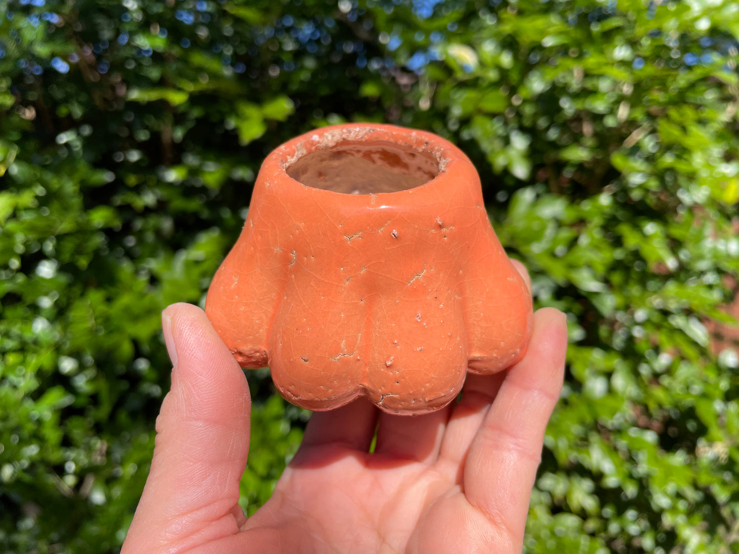 Ceramic pots claw shaped succulent planter