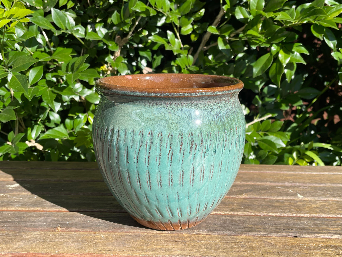 Ceramic Pot Succulent Cactus Planter Draining Hole at the Bottom Breathable Planter