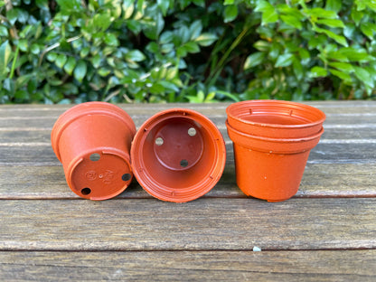 5.5 cm plastic plant pots Mini Plastic Seeding Pot Thick Red Round 5cm Succulent Flower Draining Hole – GO&GO PTY LTD
