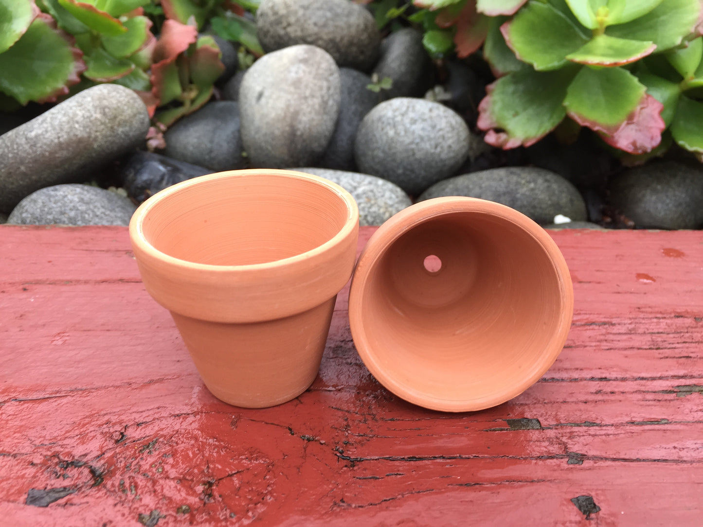 80 Mini Terracotta Pots - Perfect for Succulents, Cacti, and Home/Office Decor - 5.5cm