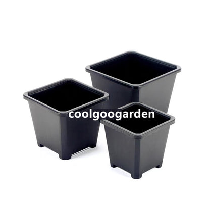 10x Black Durable Thick Plastic Square Pots Cactus Succulent Flower Planters Nursery