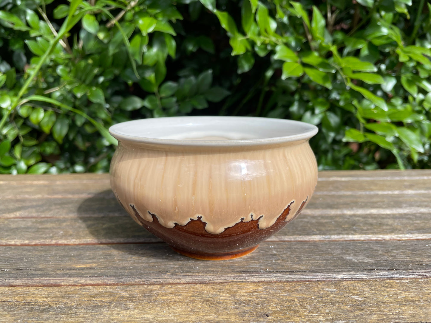 Ceramic pot succulent planter 12cm