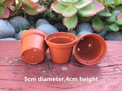 100x Mini Plastic Seeding Pot Thick Round 5cm Diameter Succulent Flower Nursery Seeding Draining Hole