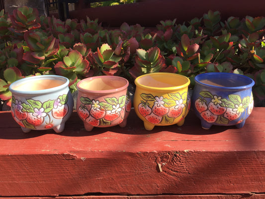 4x Succulent ceramic pots strawberry pattern 11.5cm diameter 10cm height