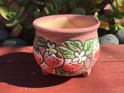 4x Succulent ceramic pots strawberry pattern 11.5cm diameter 10cm height