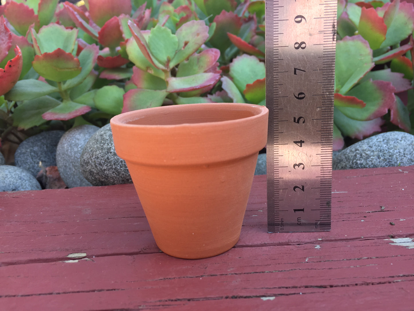 80 Mini Terracotta Pots - Perfect for Succulents, Cacti, and Home/Office Decor - 5.5cm