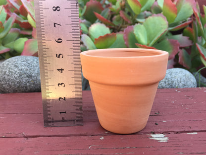 80 Mini Terracotta Pots - Perfect for Succulents, Cacti, and Home/Office Decor - 5.5cm