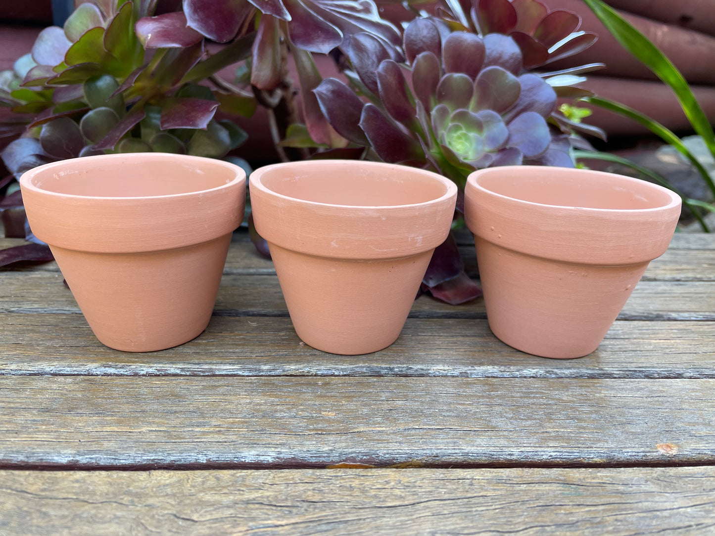 Set of 48 Terracotta Succulent and Cactus Planters with 7cm Draining Holes