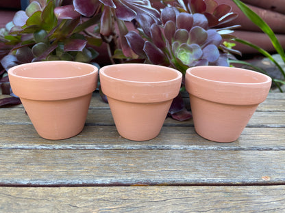 Set of 48 Terracotta Succulent and Cactus Planters with 7cm Draining Holes