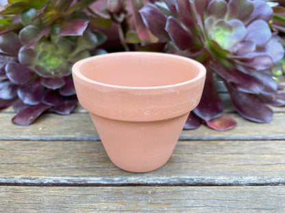 Set of 48 Terracotta Succulent and Cactus Planters with 7cm Draining Holes