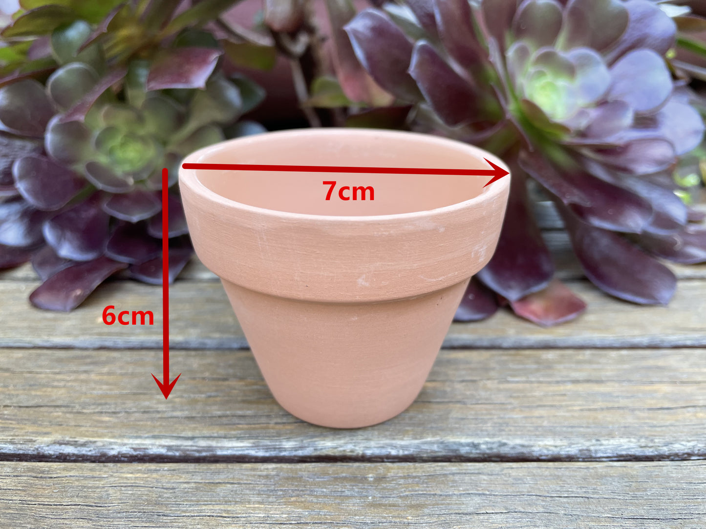 Set of 48 Terracotta Succulent and Cactus Planters with 7cm Draining Holes